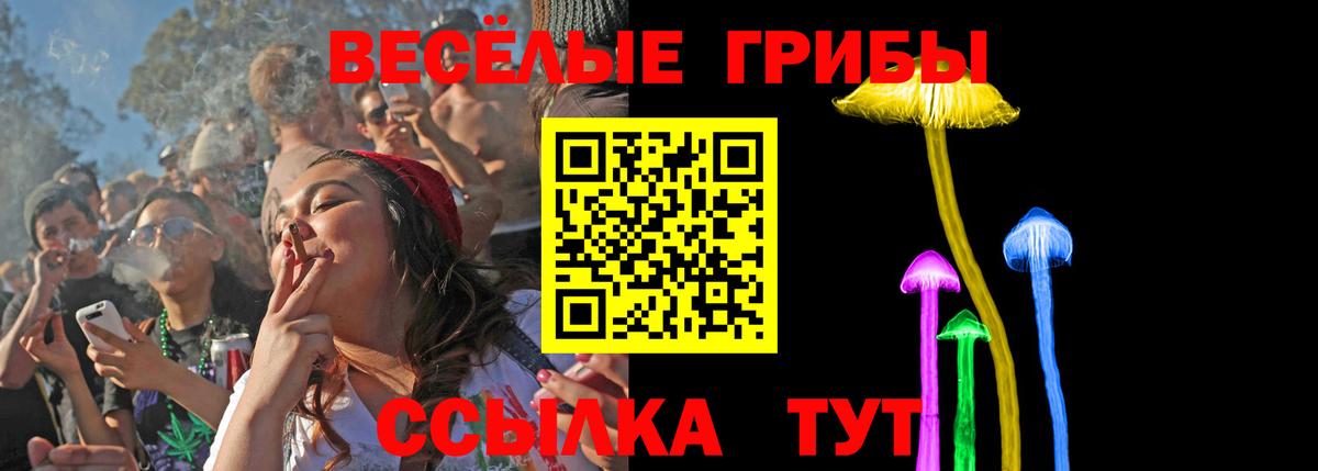 Орск  Псилоцибиновые грибы MAGIC MUSHROOMS  Вход с VPN 